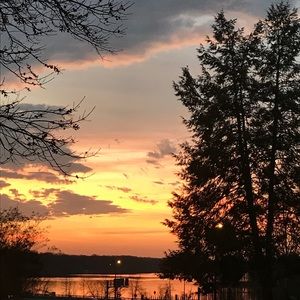 Meet your Posher, Marly